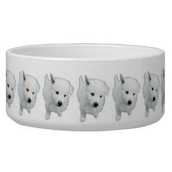 Fluffy White Puppy Photograph Bowl by CorgisandThings at Zazzle