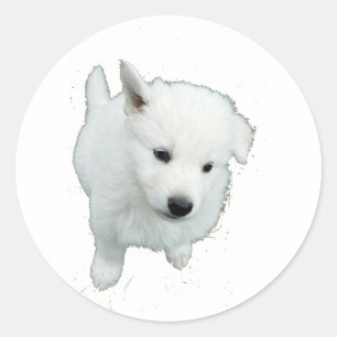 Fluffy White Puppy Photograph Classic Round Sticker