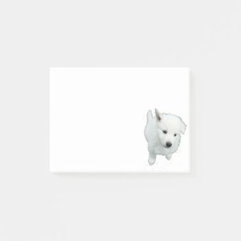 Fluffy White Puppy Photograph Post-it Notes by CorgisandThings at Zazzle