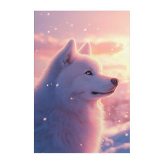 Fluffy White Samoyed Dog Pink Winter Sky Sunset Acrylic Print
