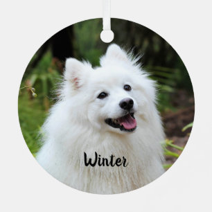 Fluffy White Spitz Puppy Dog  Metal Ornament