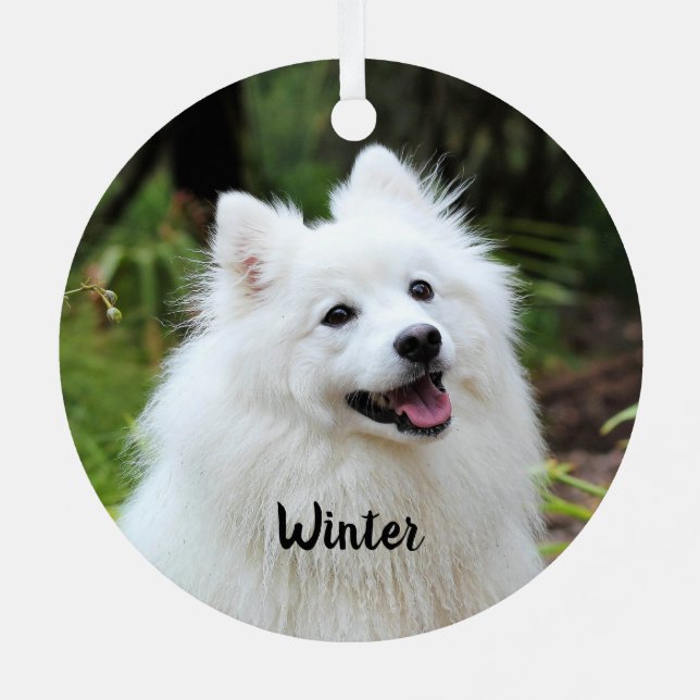 Fluffy White Spitz Puppy Dog  Metal Ornament (Back)