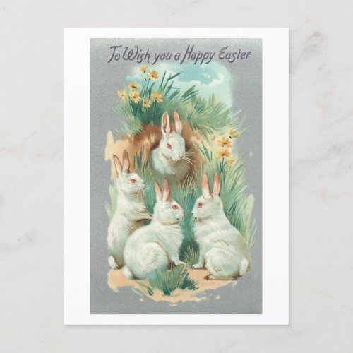 Fluffy White Vintage Easter Bunnies Holiday Postcard