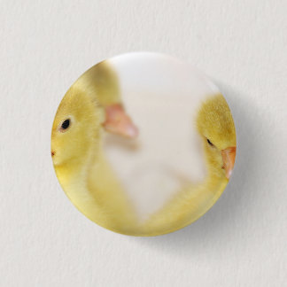 Fluffy Yellow Ducklings Pinback Button