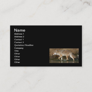 Fluid Motion Business Card