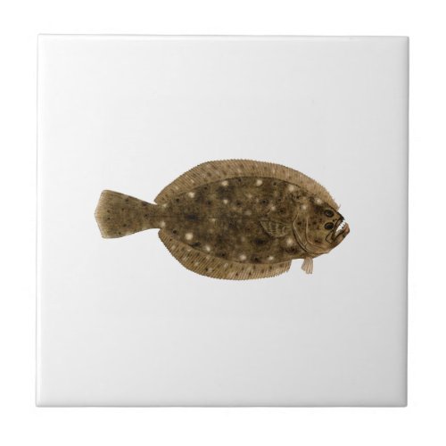 Fluke _ Summer Flounder Ceramic Tile