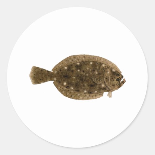 Fluke _ Summer Flounder Classic Round Sticker