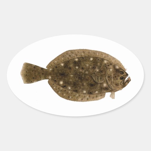 Fluke _ Summer Flounder Oval Sticker