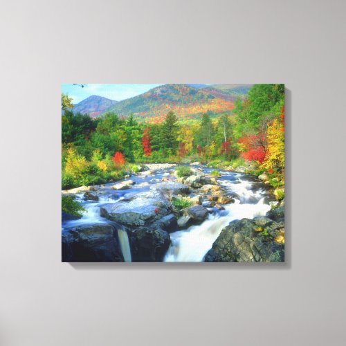 Flume Falls   Adirondack Mountains Canvas Print