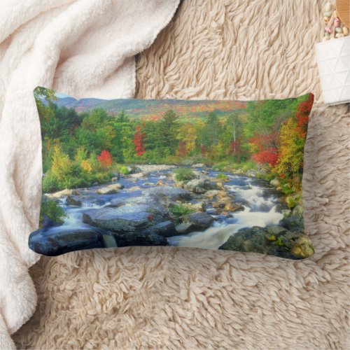 Flume Falls   Adirondack Mountains Lumbar Pillow