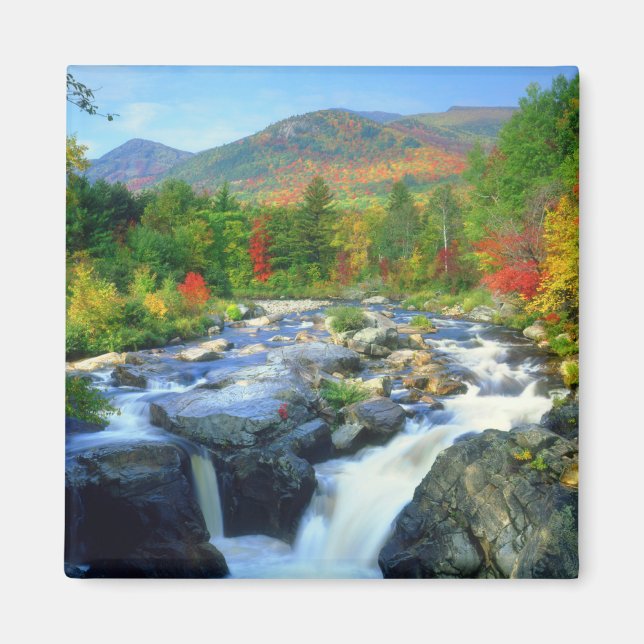 Flume Falls |  Adirondack Mountains Magnet (Front)