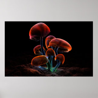 Fluorescence (2009) poster