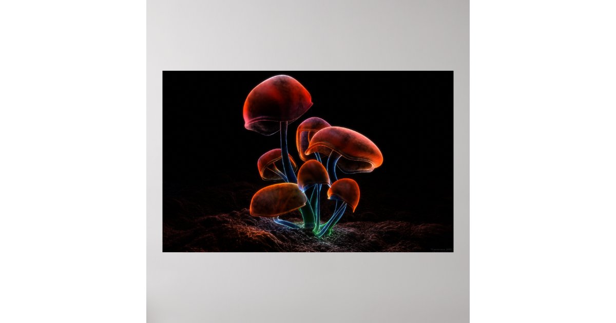 Fluorescence (2009) poster | Zazzle