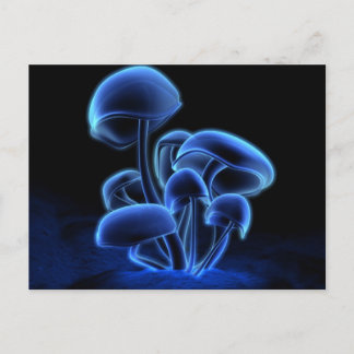 Fluorescence Postcard