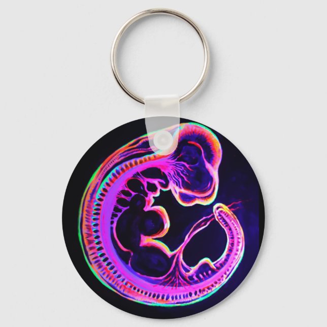 Fluorescent embryo glowing in the dark keychain (Front)