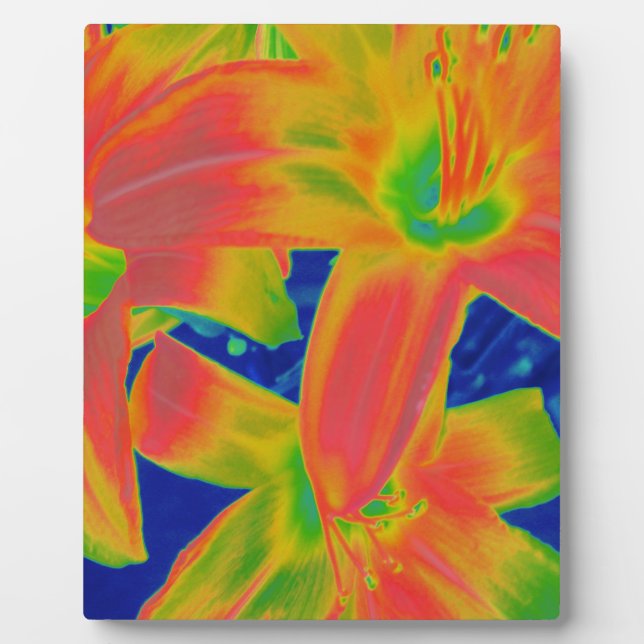 fluorescent flowers plaque (Front)