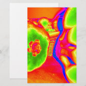 fluorescent fruit (Front/Back)