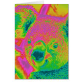 fluorescent koala bears (Front)
