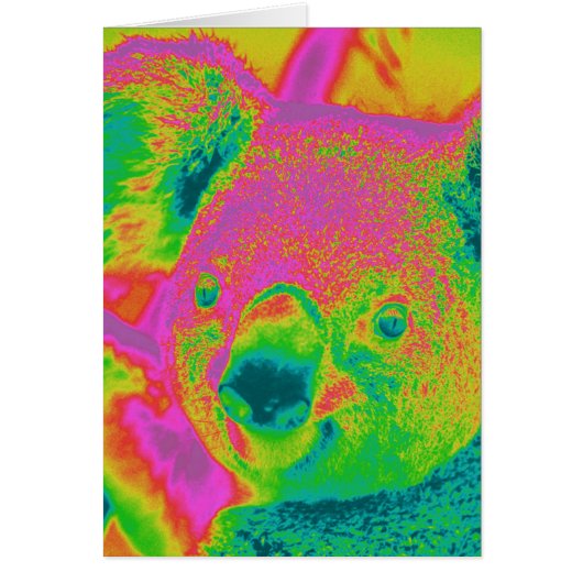 fluorescent koala bears cards (Front)