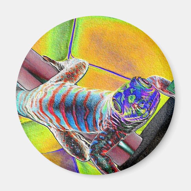 Fluorescent Lizard Magnet (Front)