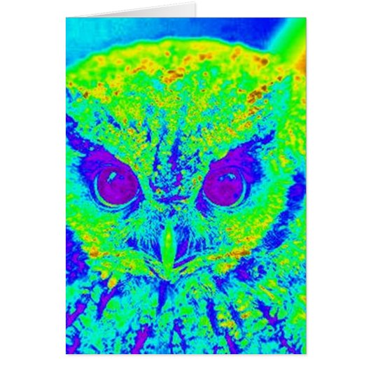 fluorescent owl cards (Front)
