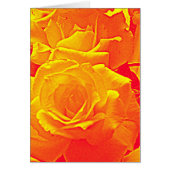 fluorescent rose orange (Front)