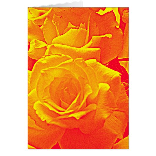 fluorescent rose orange cards (Front)