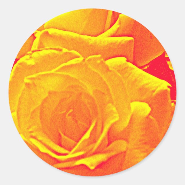 fluorescent rose orange classic round sticker (Front)