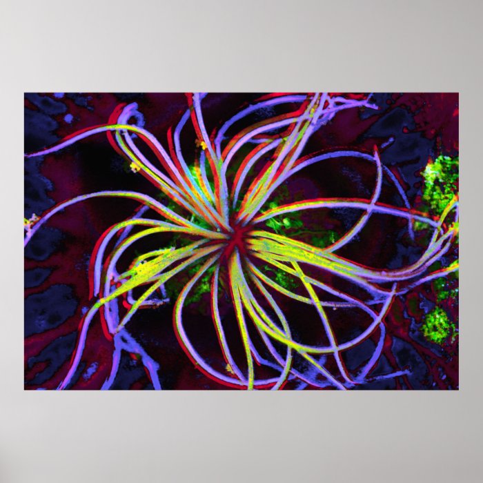 Fluorescent Sea Anemone Print