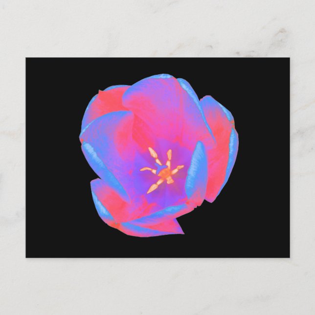 Fluorescent Tulip Postcard (Front)