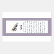 Fluorite Crystal Meaning Jewelry Gemstone Package 