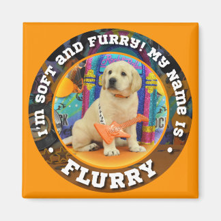 Flurry Name magnet