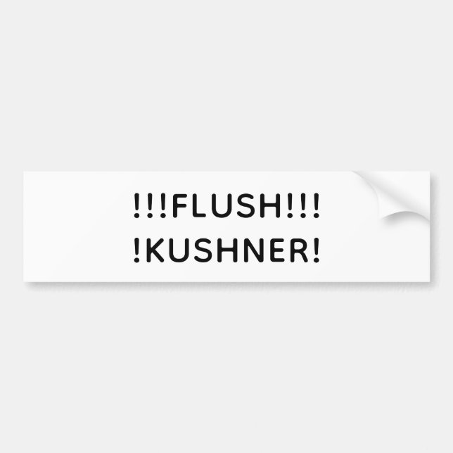 FLUSH KUSHNER Hankamer Artjunkhaus Splash-Art Fun! Bumper Sticker (Front)