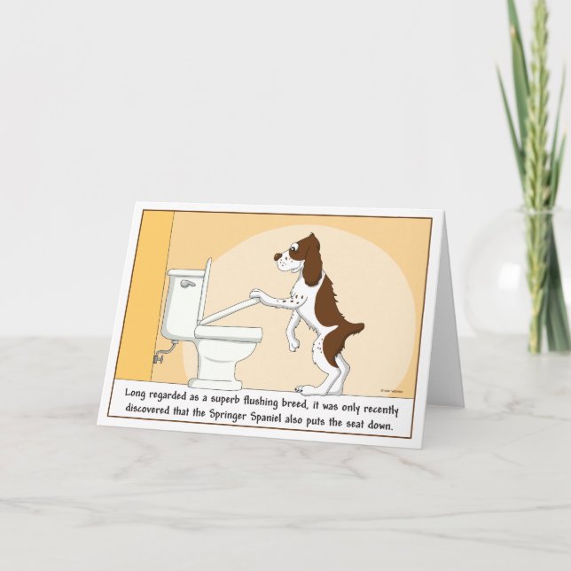 Flushing Springer Spaniel card (Front)