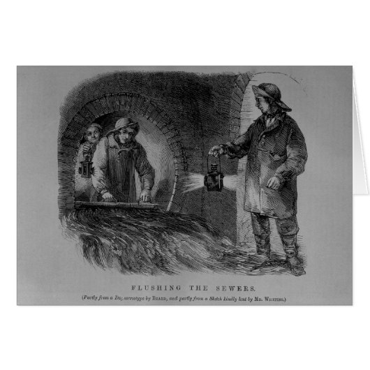 Flushing the Sewers (Front Horizontal)