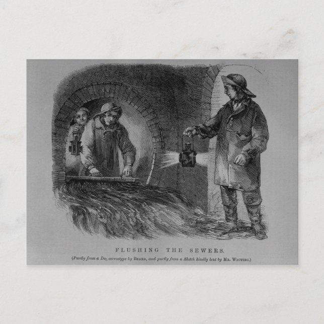 Flushing the Sewers Postcard (Front)