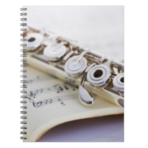 Flute 2 notebook
