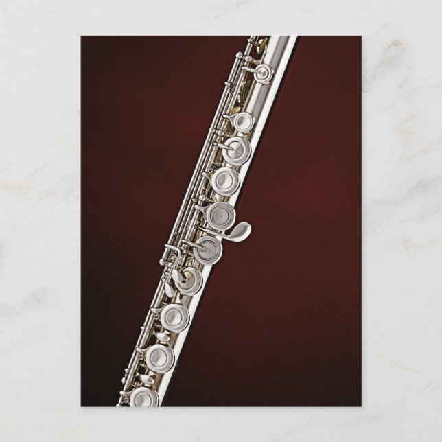 Flute Flutist Musician Postcard (Front)