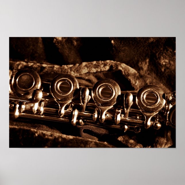 Flute Photo Poster (Front)