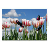 Flutter By (Front Horizontal)