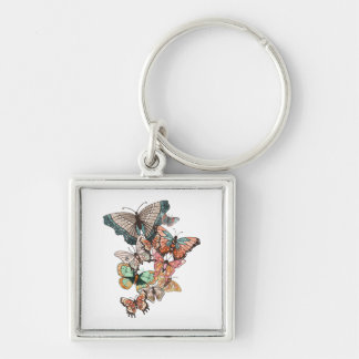 Flutter into Spring  Keychain
