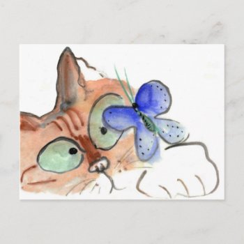 Fluttering Curiosity Is Flying Past Kitten Postcard by Nine_Lives_Studio at Zazzle