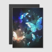 Fluttering Night Butterfly (Front/Back)