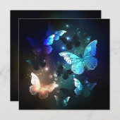 Fluttering Night Butterfly (Front/Back)