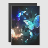Fluttering Night Butterfly (Front/Back)