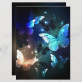 Fluttering Night Butterfly (Front/Back)
