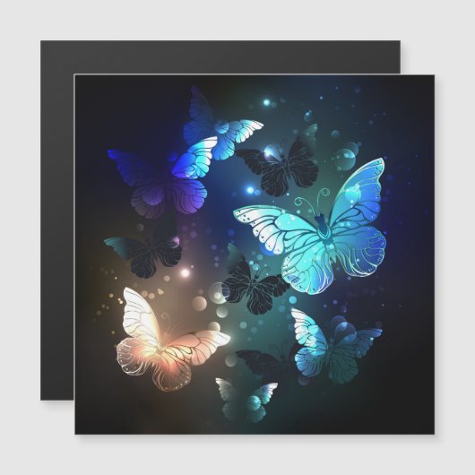 Fluttering Night Butterfly (Front/Back)