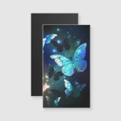 Fluttering Night Butterfly (Front/Back)
