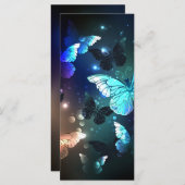 Fluttering Night Butterfly (Front/Back)