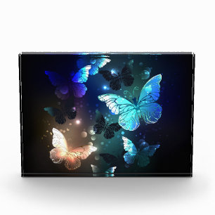 Fluttering Night Butterfly Acrylic Award